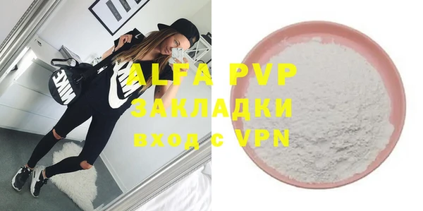 хмурый Алексин