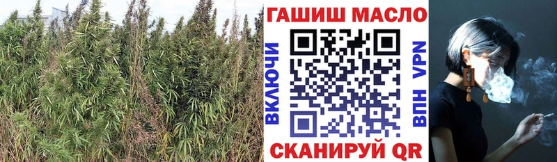 ТГК вейп  цена   Юхнов 