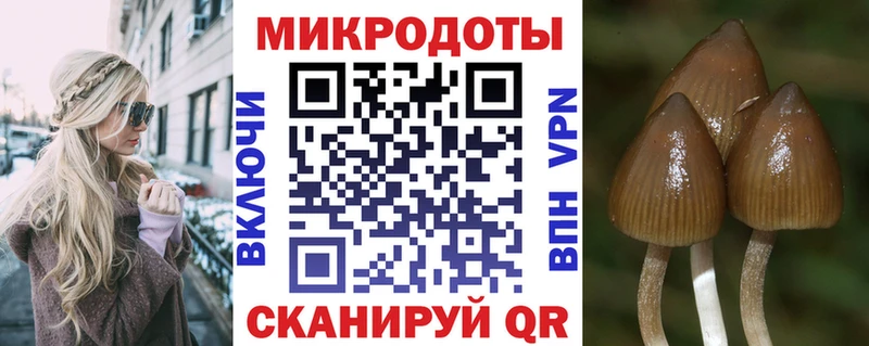 Галлюциногенные грибы Cubensis  Юхнов 